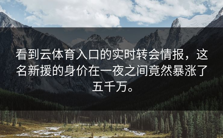看到云体育入口的实时转会情报，这名新援的身价在一夜之间竟然暴涨了五千万。