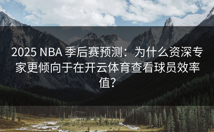 2025 NBA 季后赛预测：为什么资深专家更倾向于在开云体育查看球员效率值？